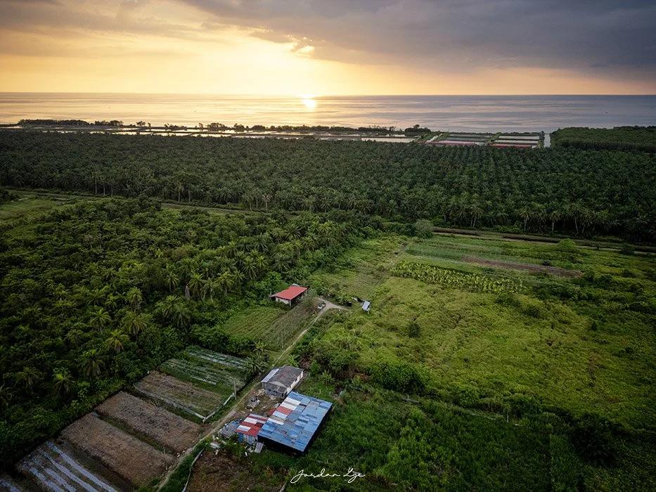 1DJI_0702 copy.jpg
