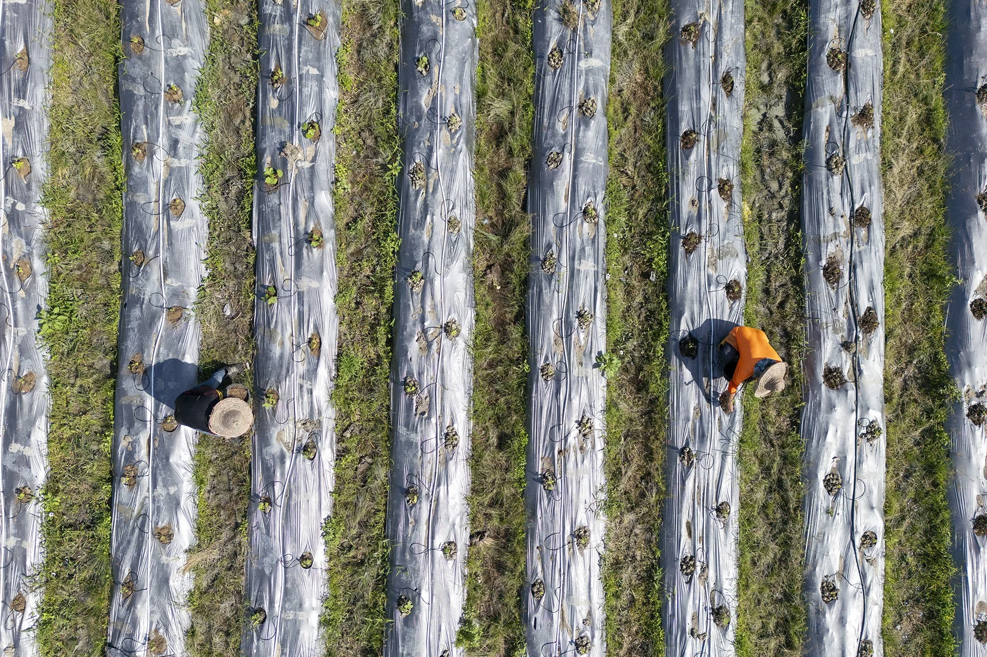1DJI_0519 copy.jpg