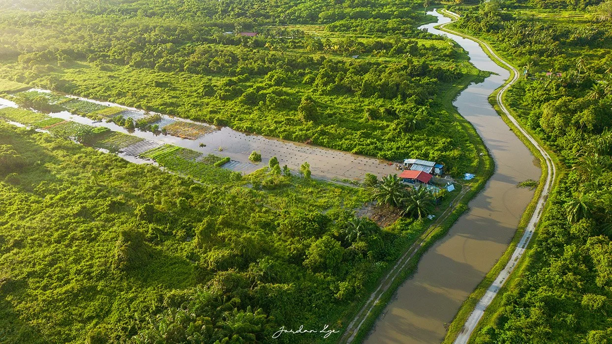 1DJI_0644 copy.jpg