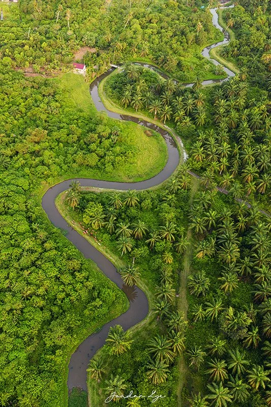 1DJI_0580 copy.jpg
