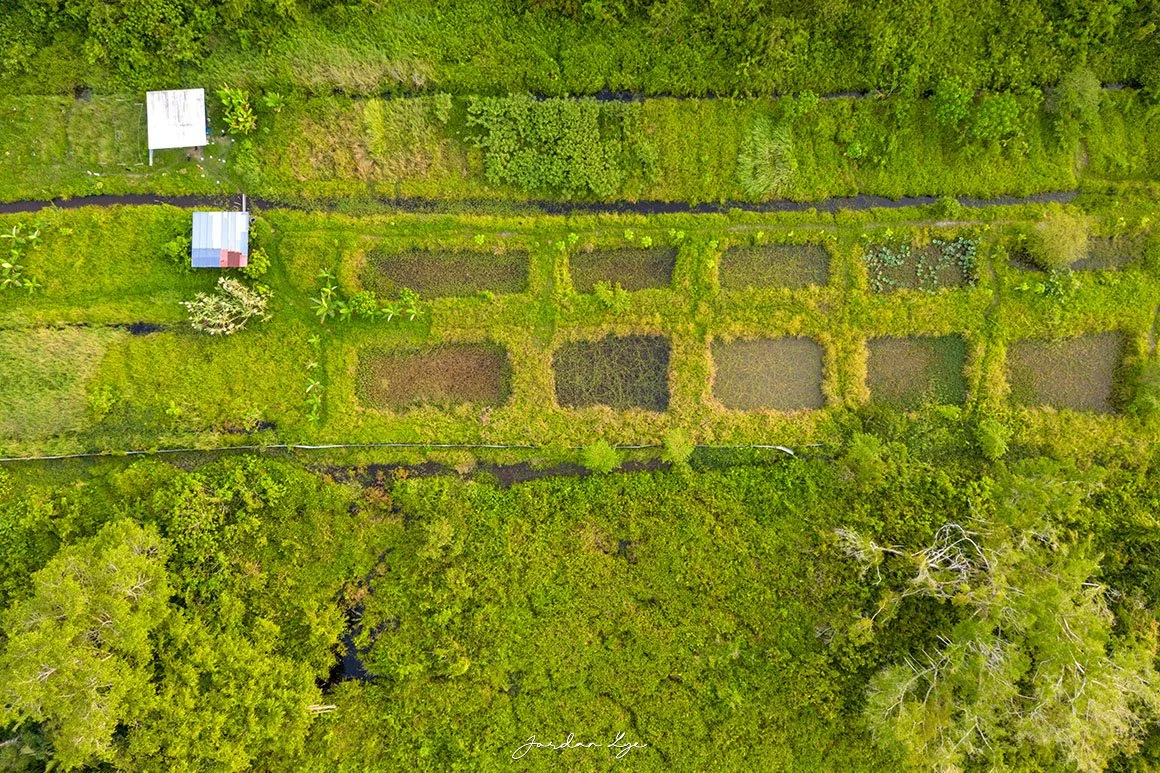 1DJI_0577 copy.jpg