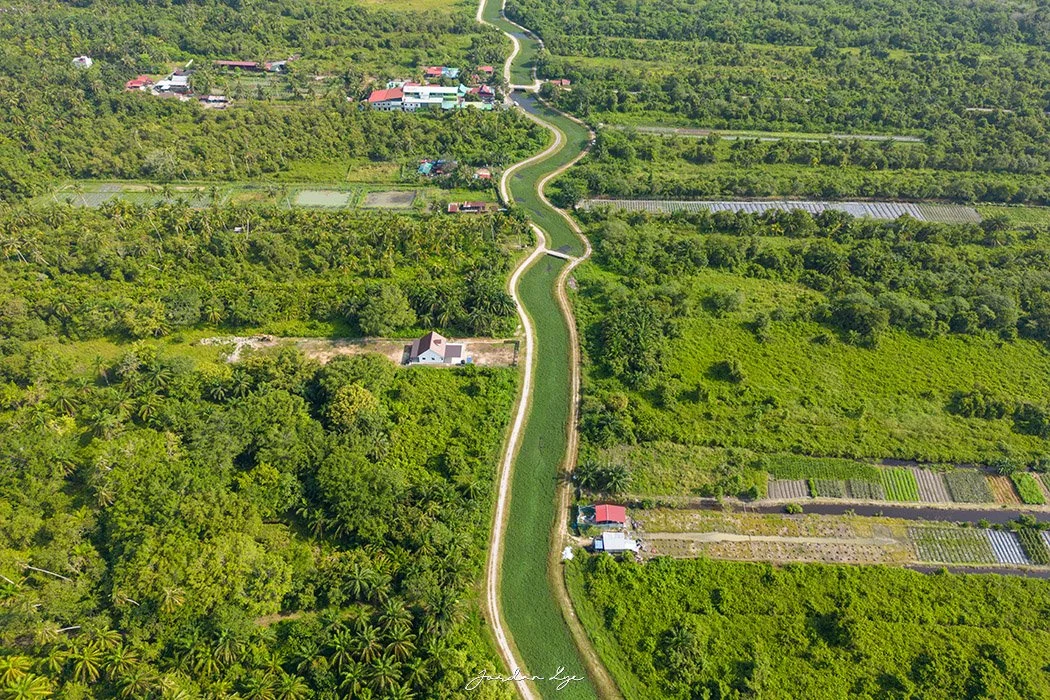 1DJI_0506 copy.jpg