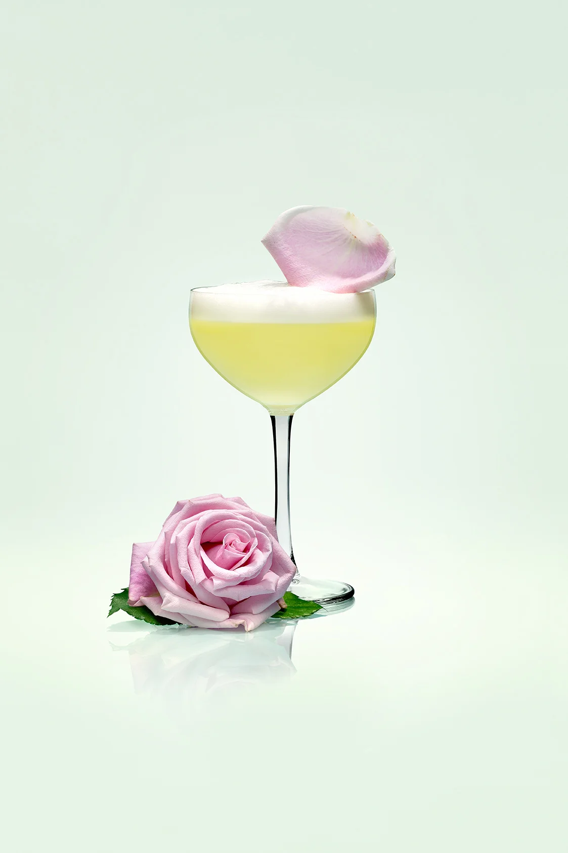 Kanon Vodka - Ellegance