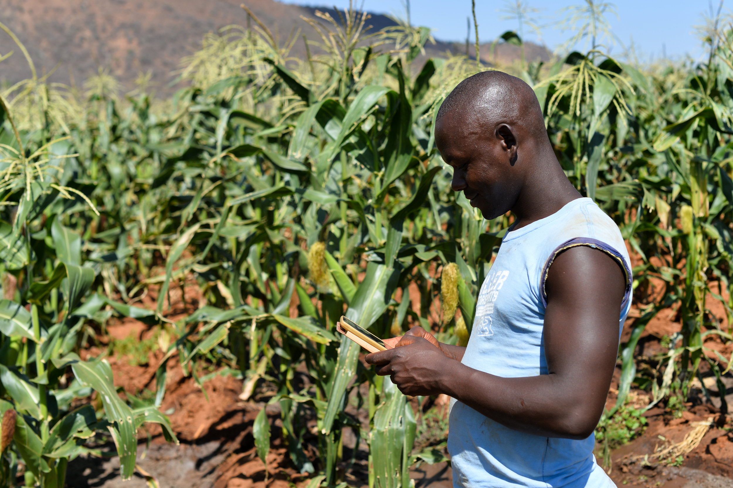Digital Farming Kenya