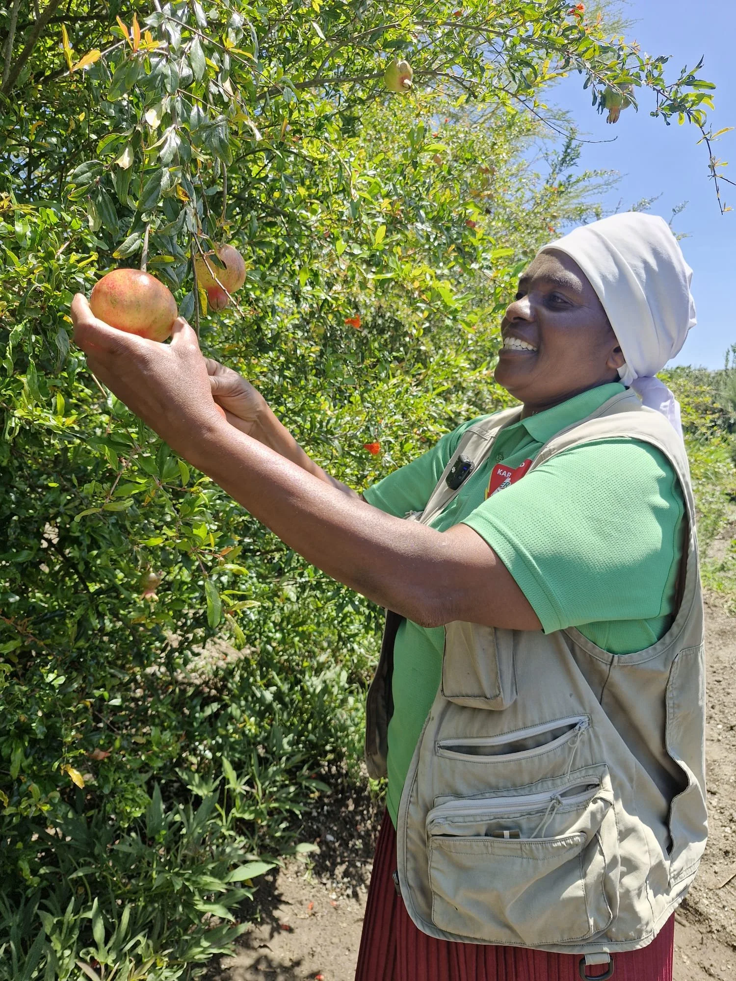 WhatsApp Image 2026-01-02 at 15.49.32 (1).jpeg