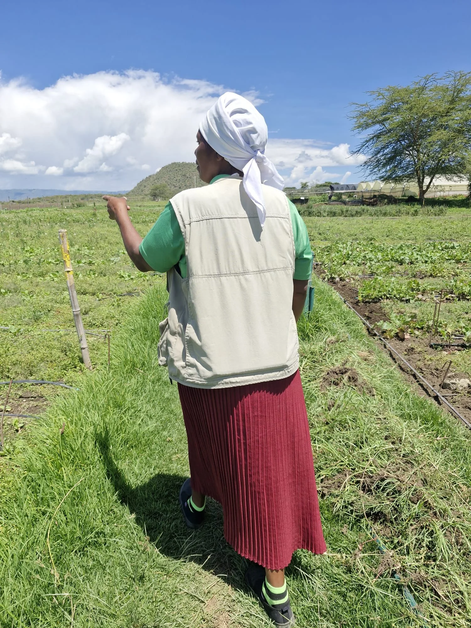 WhatsApp Image 2026-01-02 at 15.49.32 (5).jpeg