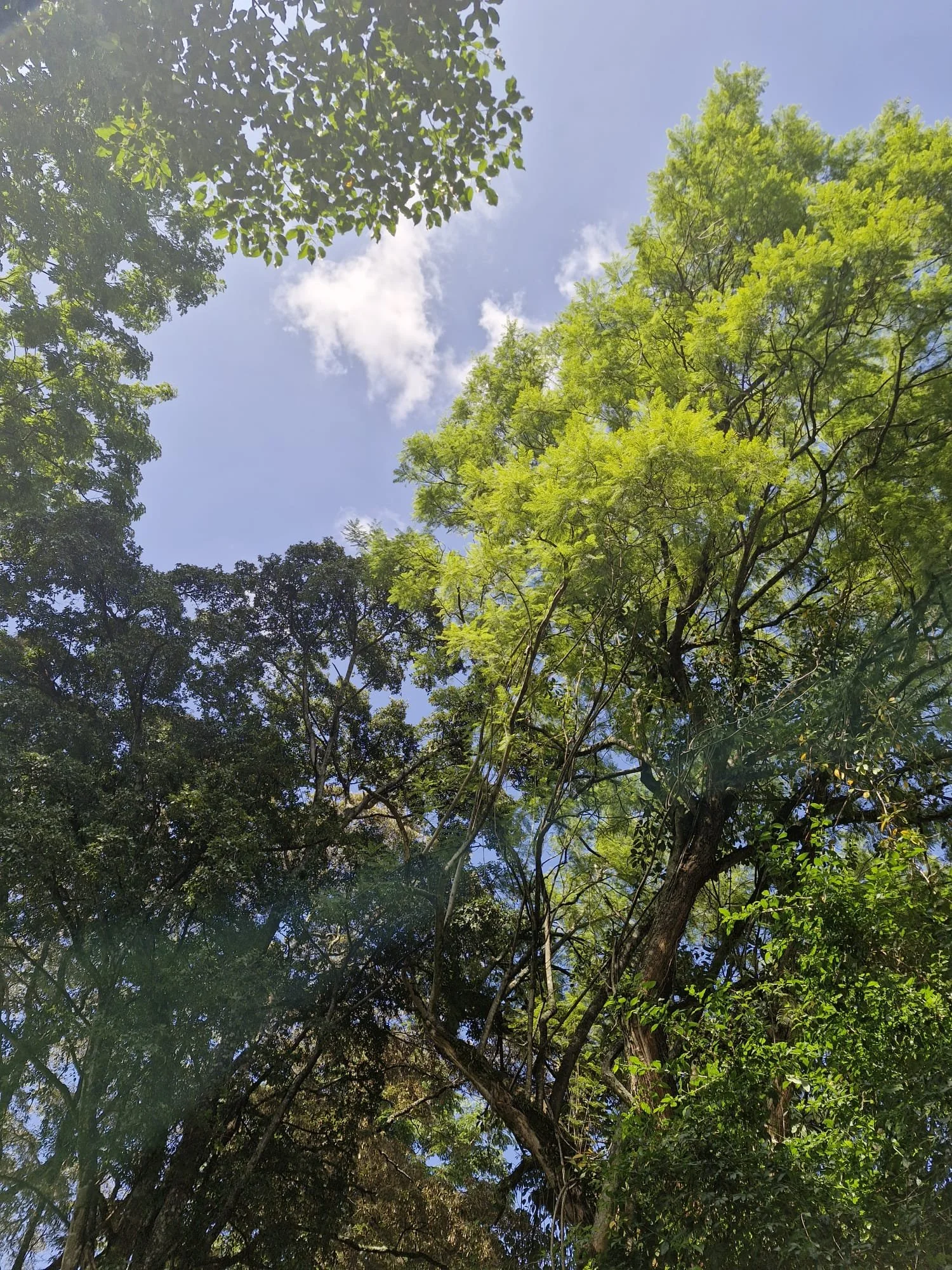 WhatsApp Image 2026-01-02 at 15.49.34.jpeg