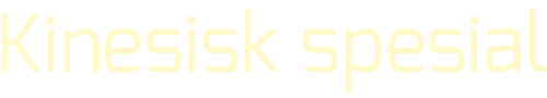 kinesisk spesial .png