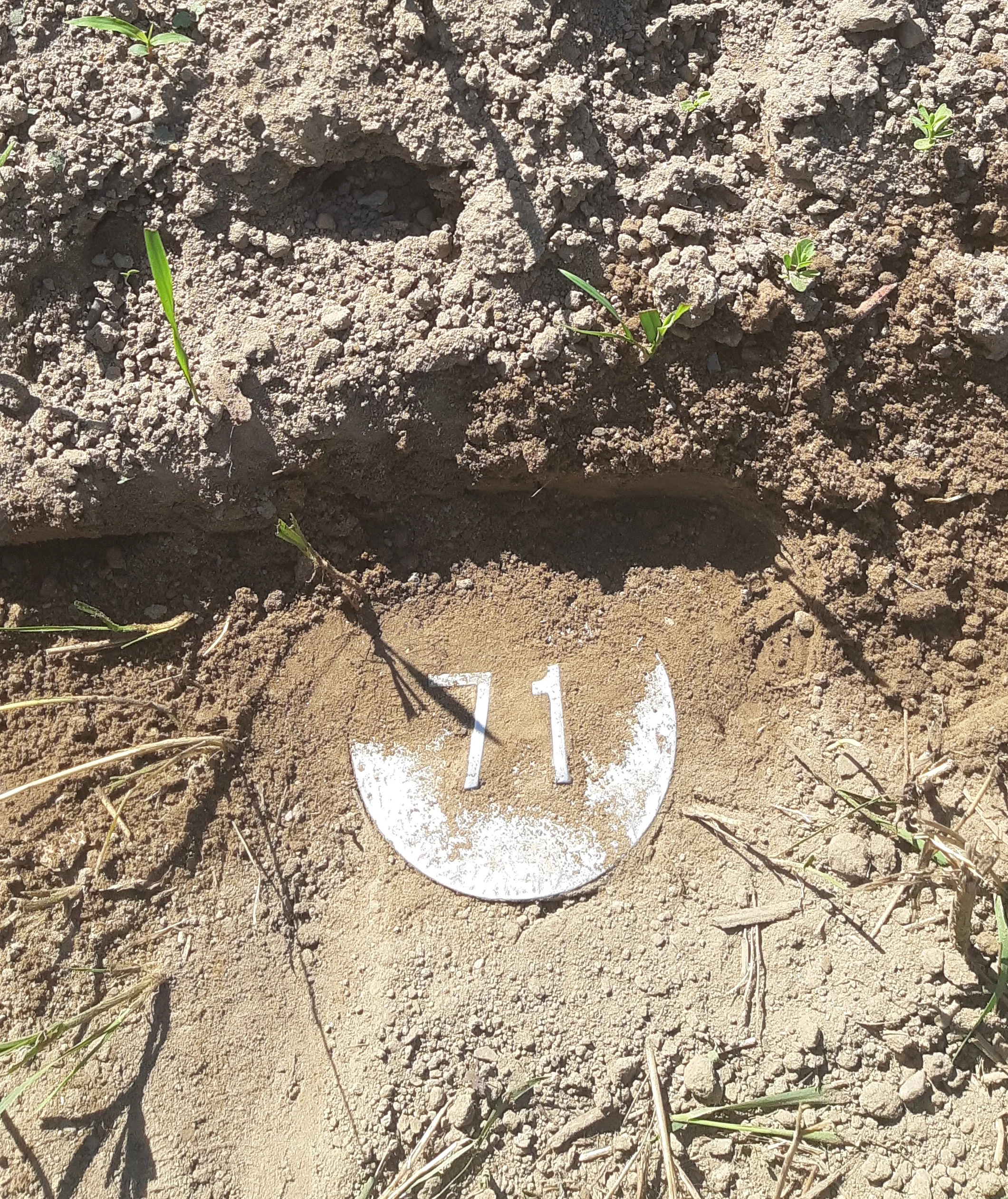 This is what the grave markers look like