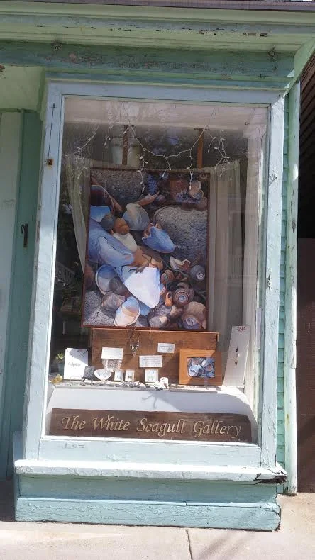 white seagull gallery.jpg
