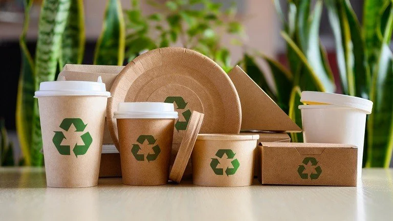 Diving Deeper: Sustainable Packaging in the F&amp;B Industry