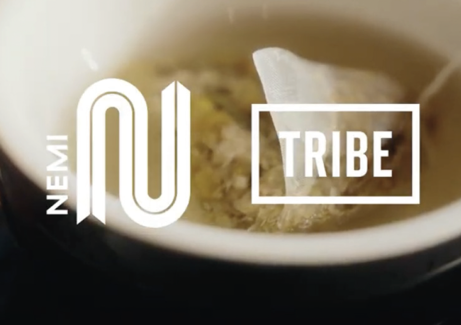 Case Study: TRIBE Hotels