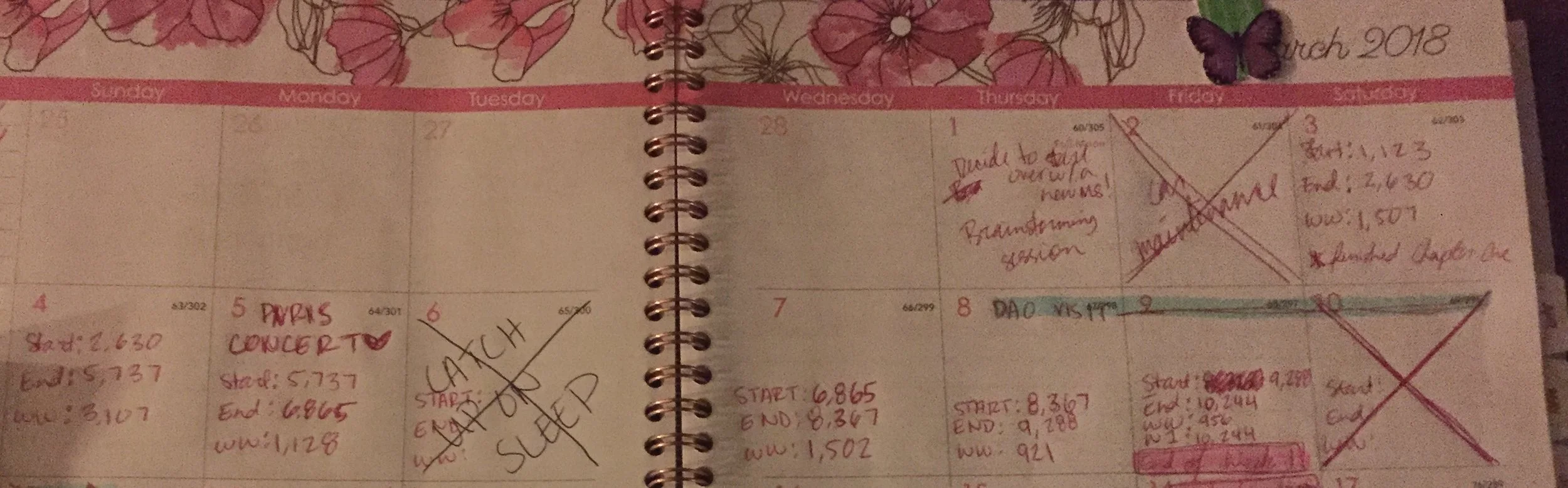 End of Week One Word Count: 10,244