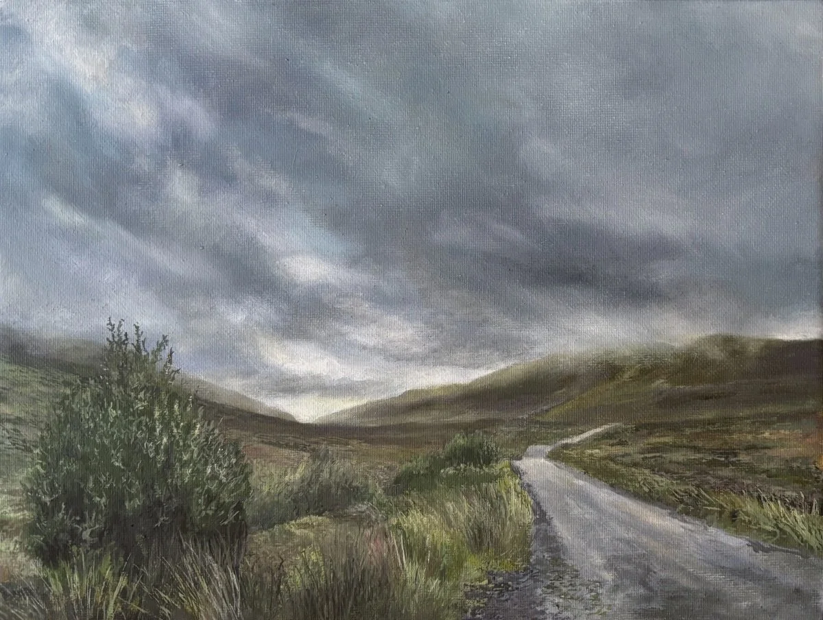 Derryveagh Mountains