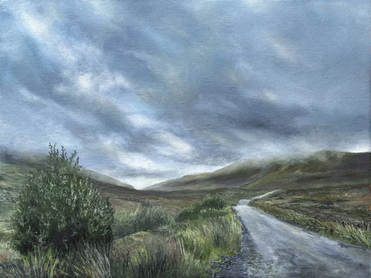 Derryvaugh Mountains