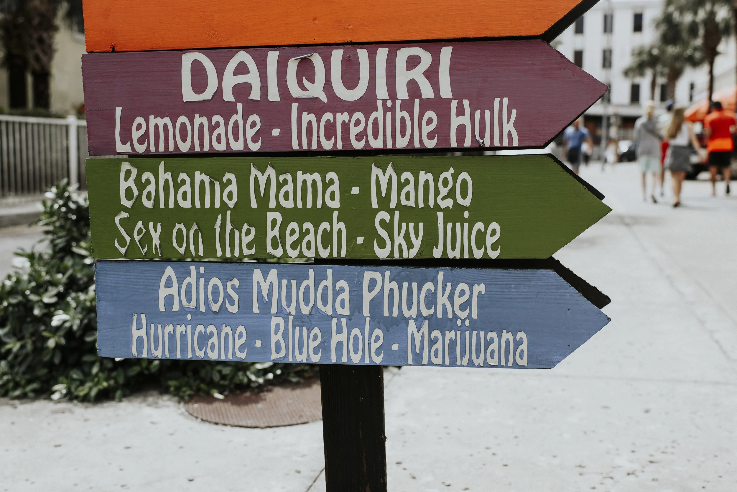 DSC_2804.jpg