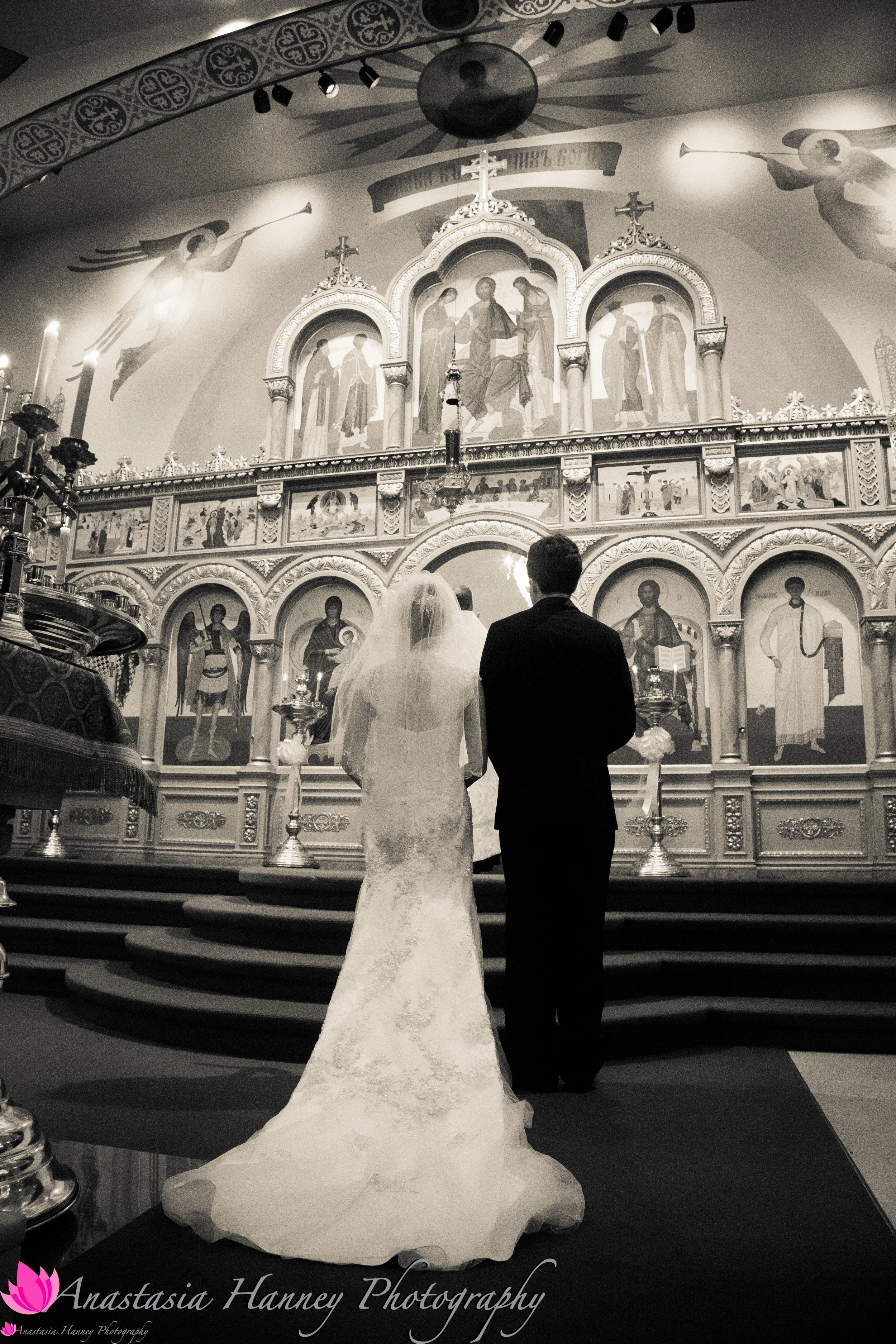 ahanneyphoto_fox-580.jpg