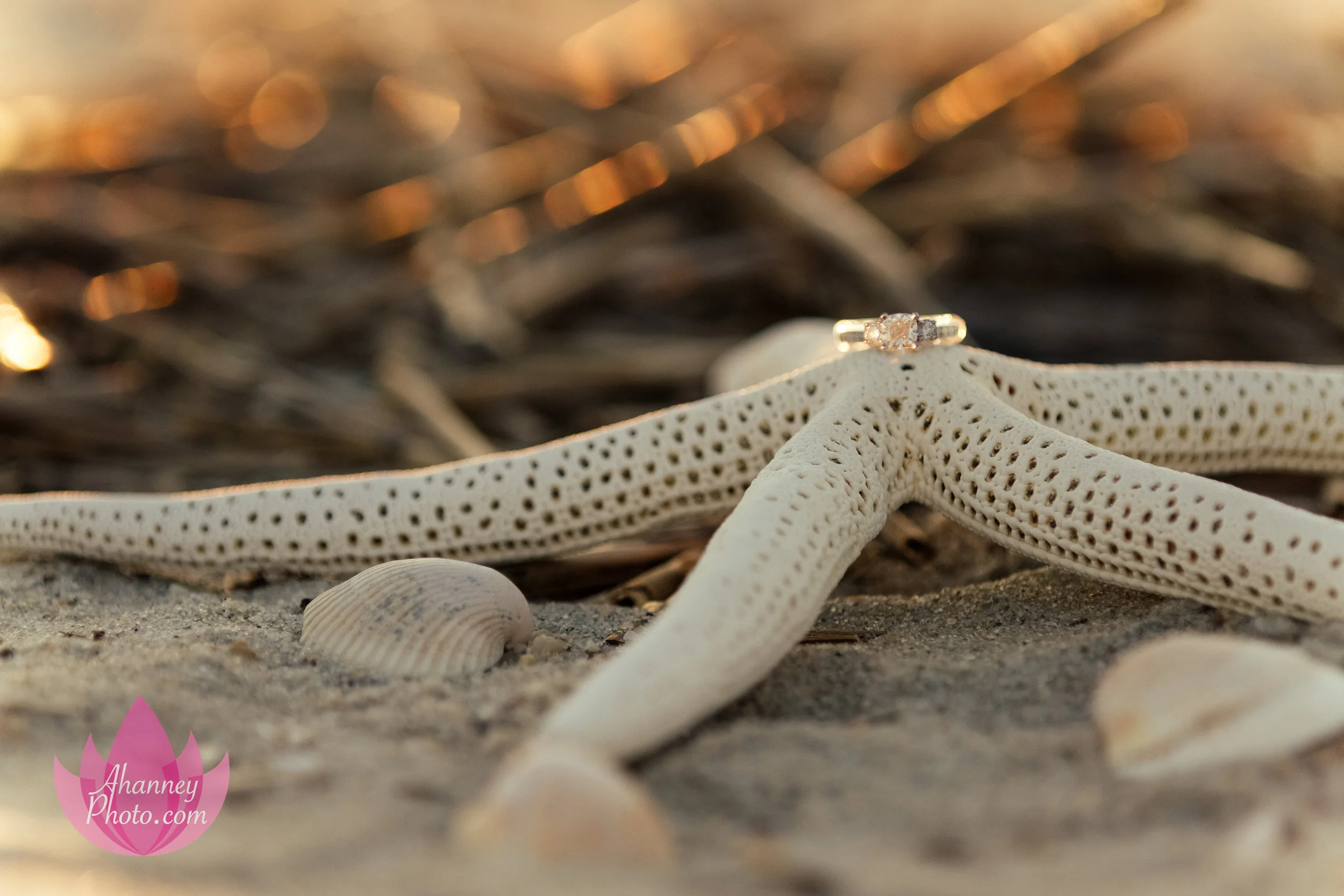 Engagement Photography on Beach at Cape May New Jersey Shore during Sunset by Anastasia Hanney Photography AHanneyPhoto engagement ring starfish beach