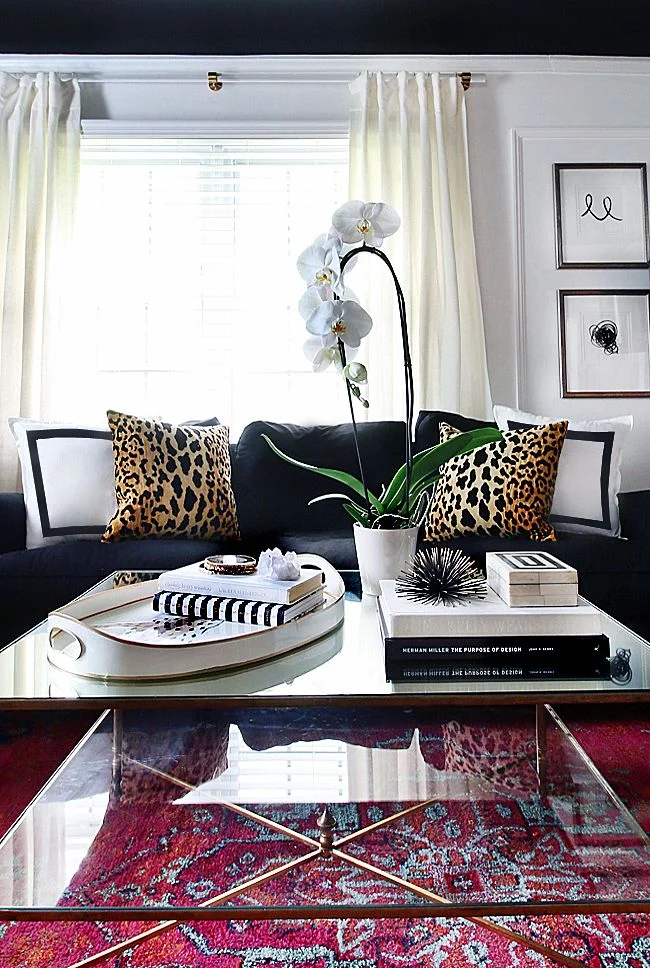 Black, white, vibrant color, and leopard