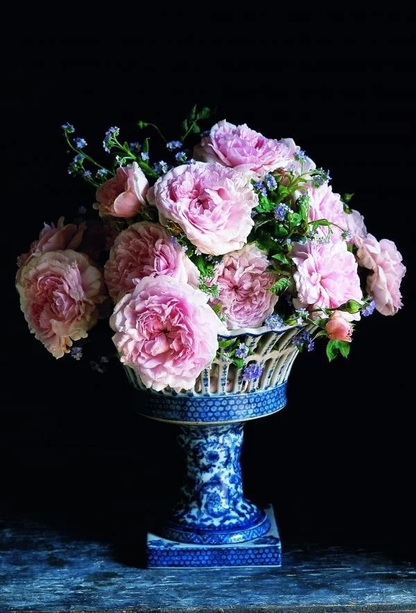 {Image Source: Avaliving.com}
