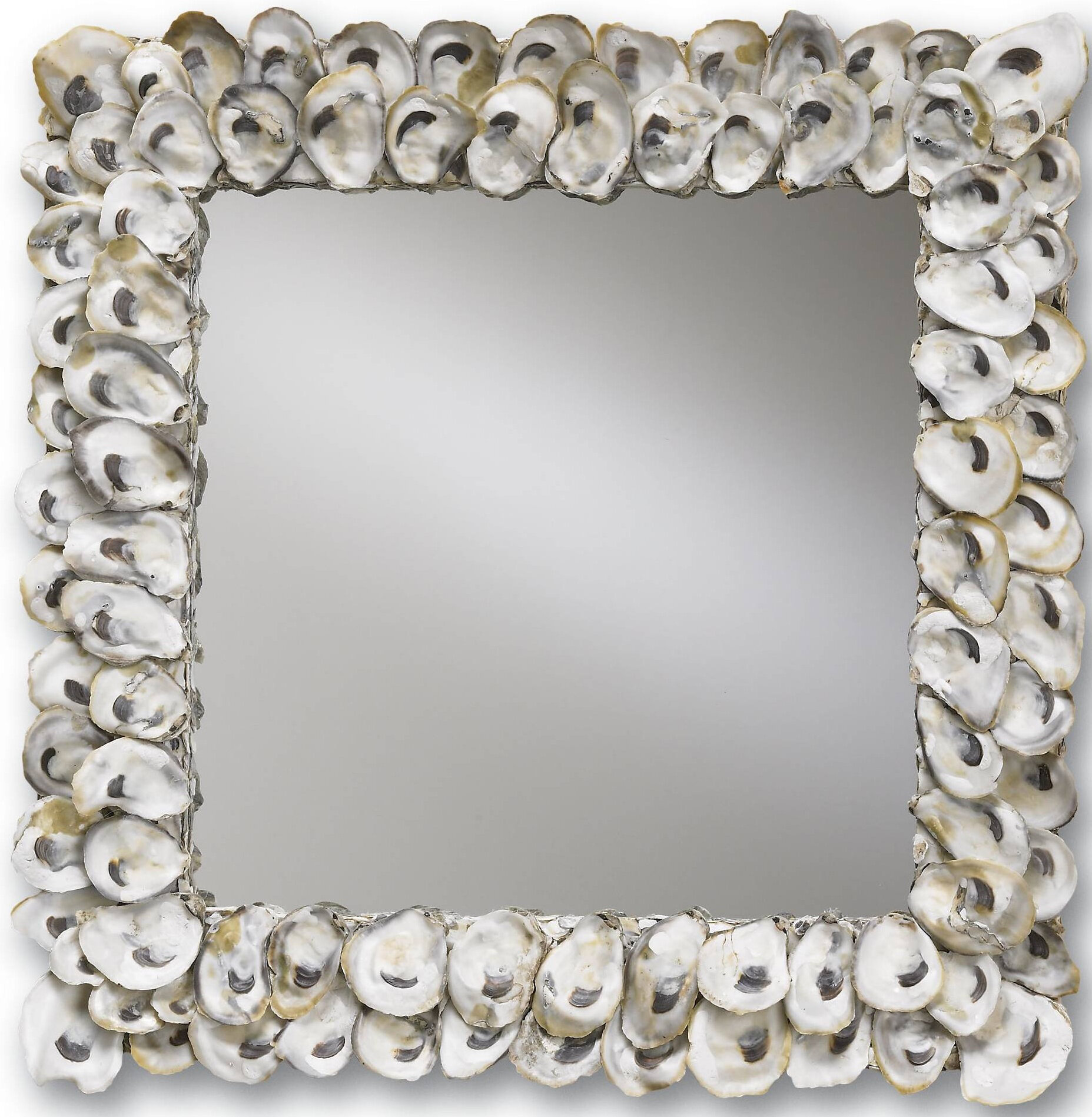 Oyster Shell Mirror.jpg