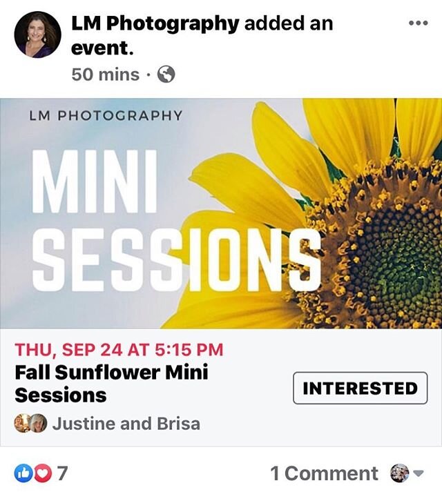 🌻🌻Just 2 spots left 🌻🌻 This place is amazing and I am so excited about this Mini Sessions! #lmphotography_lumarcus #minisessions #bookingnow #fallminisessions #sunflowerfield #southernhillsfarmsclermontflorida #sunflowerphotoshoot contact me at ?