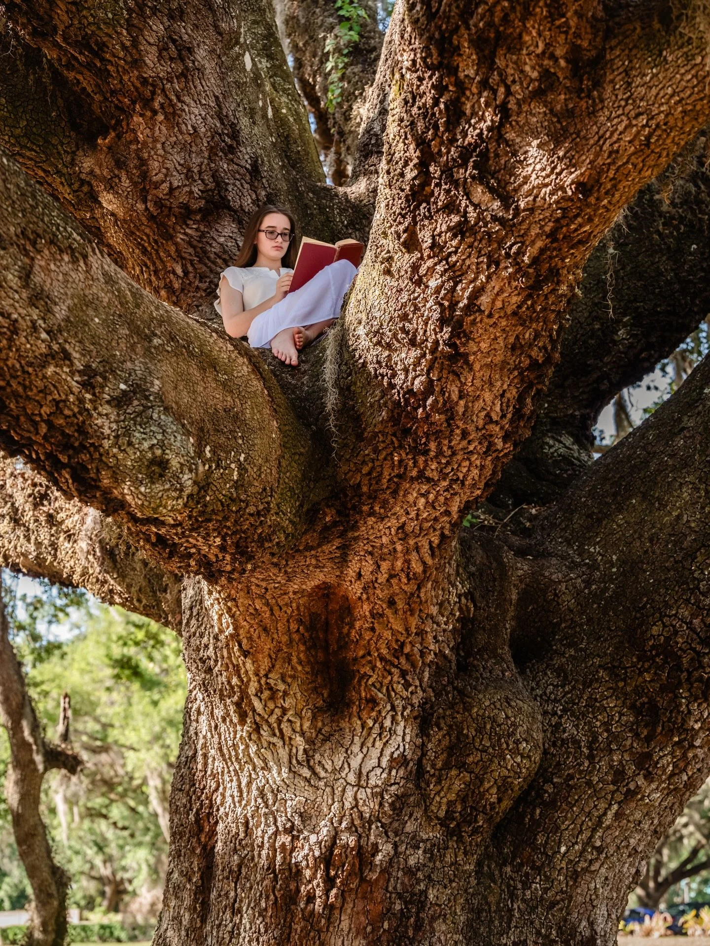✨ SENIOR M A D I S O N ✨

I can&rsquo;t even tell how much I LOVED this senior photoshoot! We had a blast getting to do something different and unique! YES Madison was brave enough to be at a very big tree! Wow! Thanks for the best time ever! @lbhsba