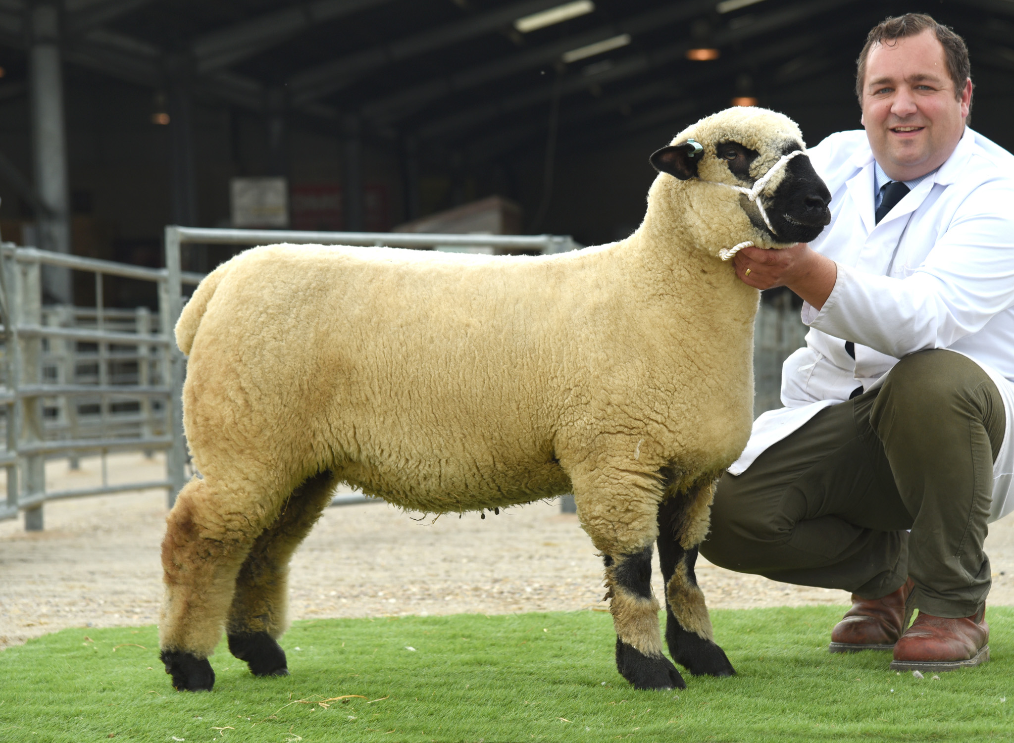 RESERVE CHAMPION