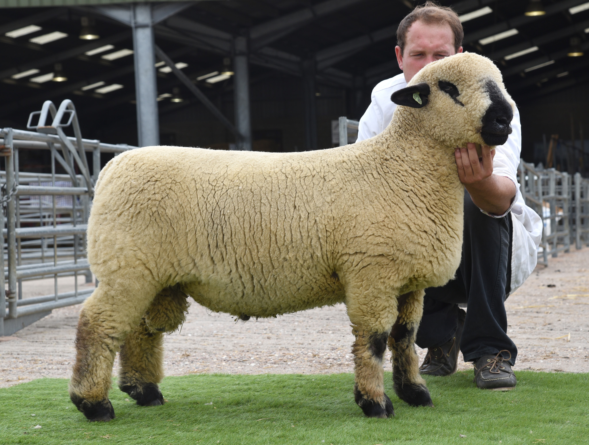 1st RAM LAMB