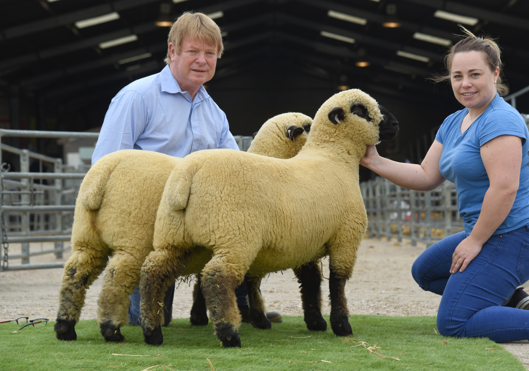 1st PAIR EWE LAMBS