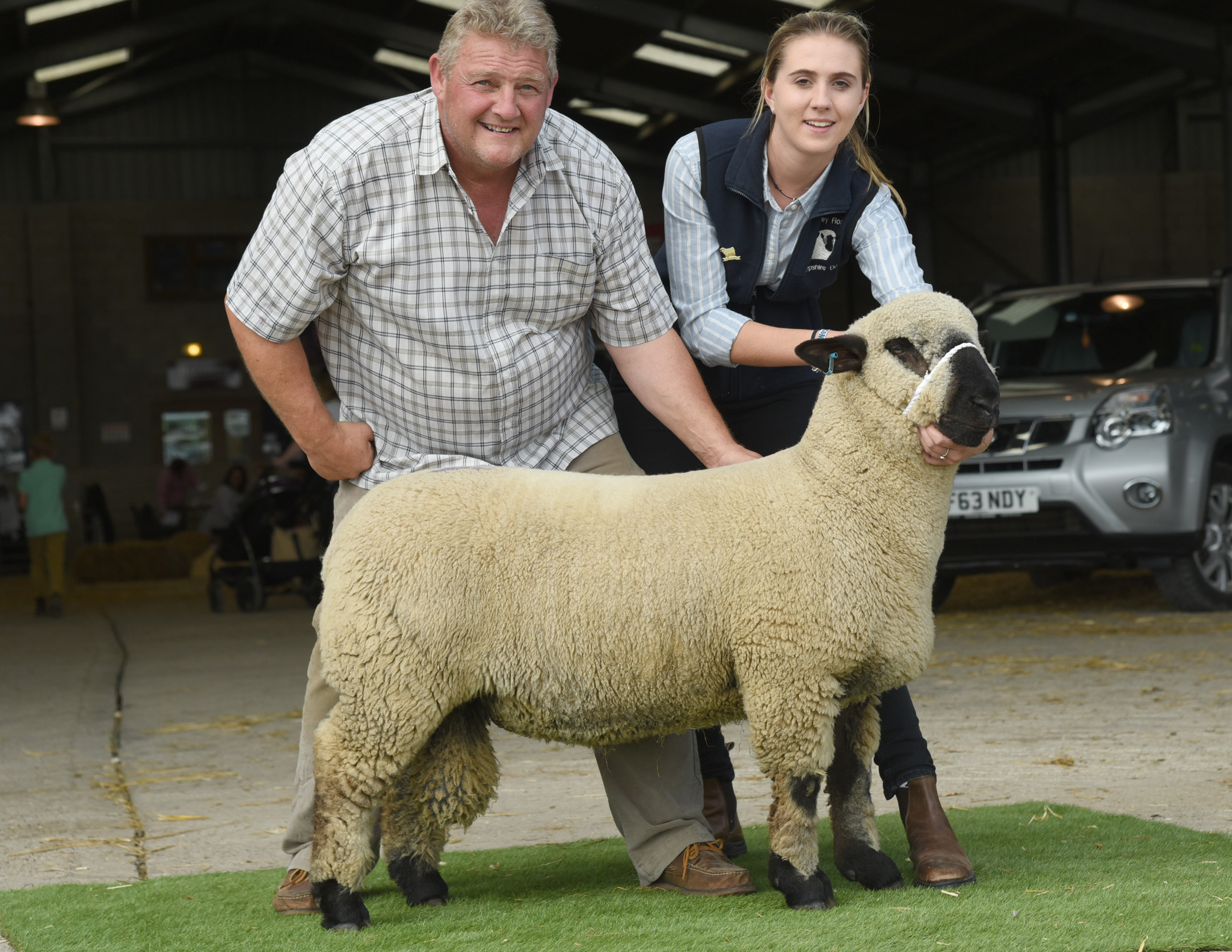 Ram Lamb, from Birkwood, THORBECK
