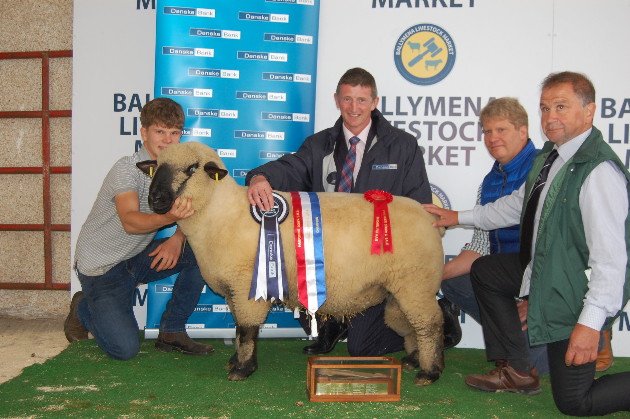 Champion Shearling Ram, LENADERG