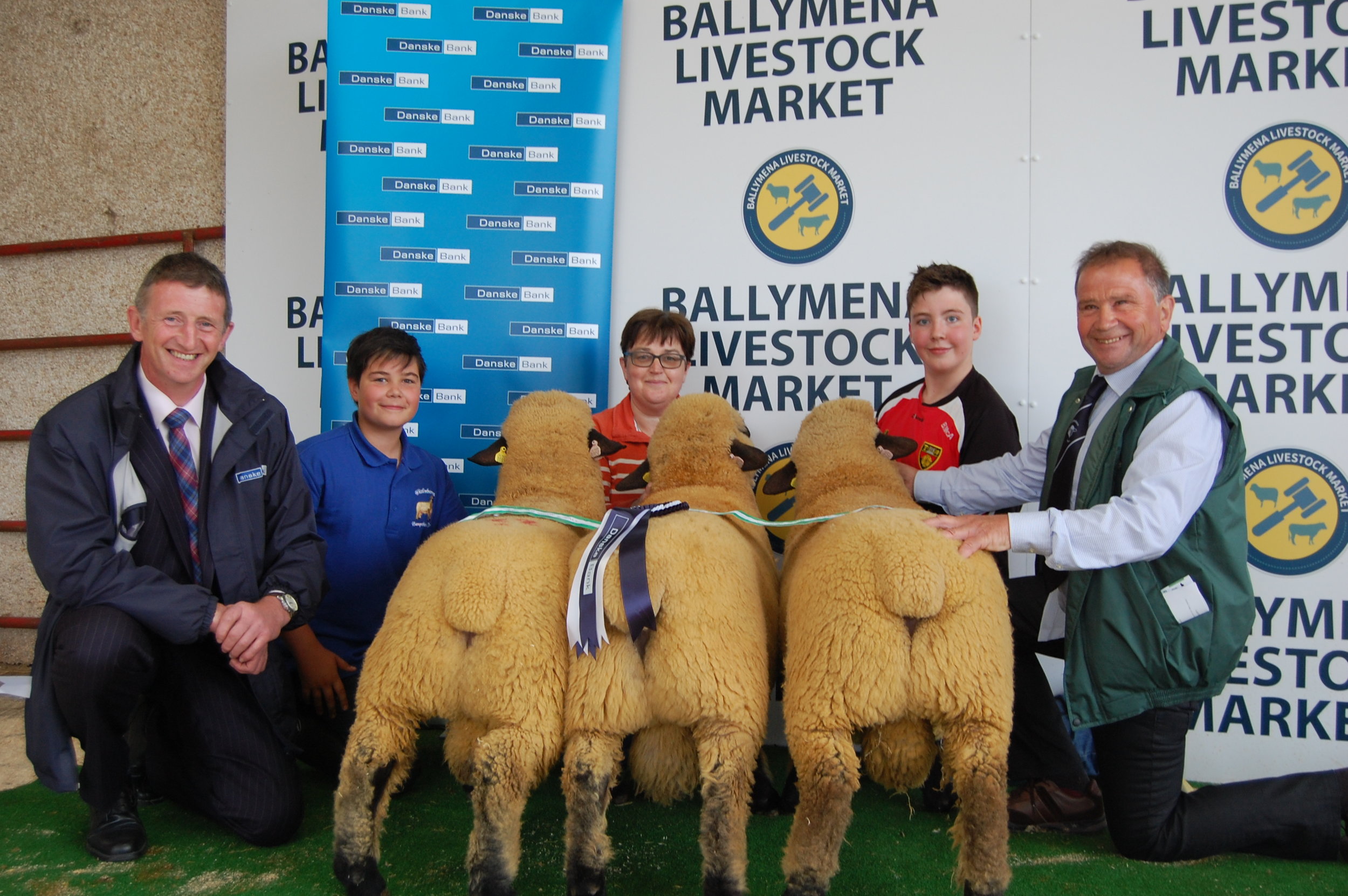 Reserve Champion, Group Of Three, BALLYCREELLY