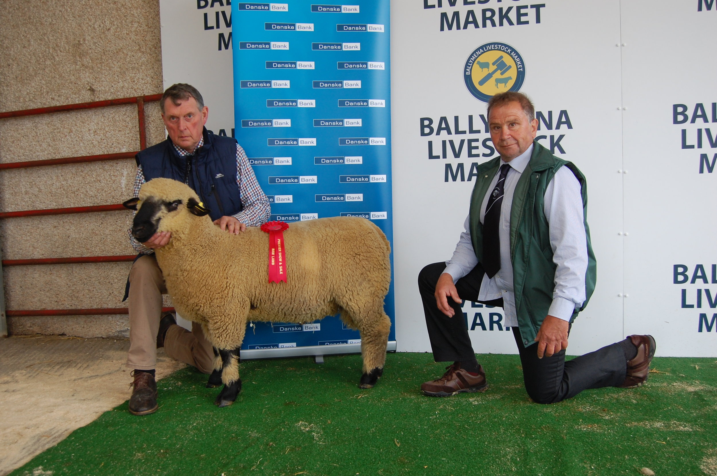 1st Ram Lamb, MOYBRICK