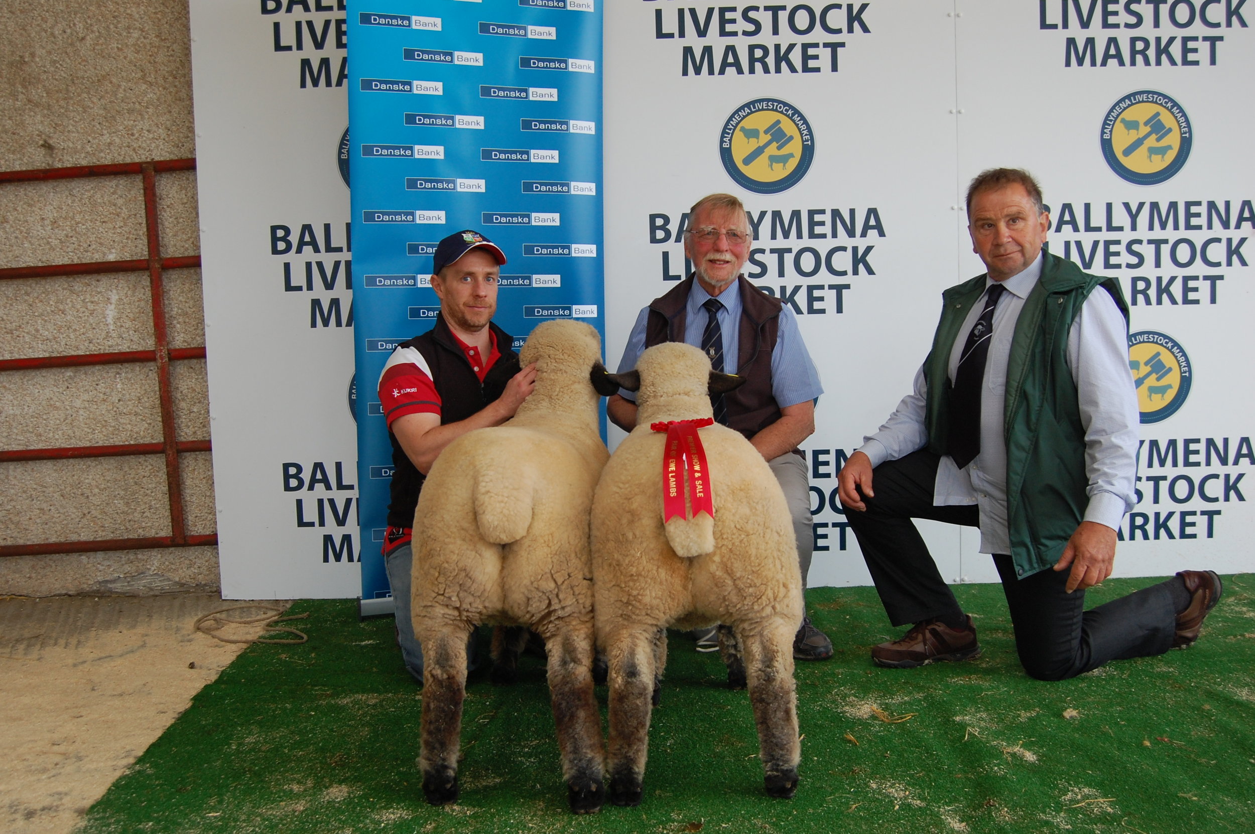 1st Pair Ewe Lambs, LOUGHAN MOSS