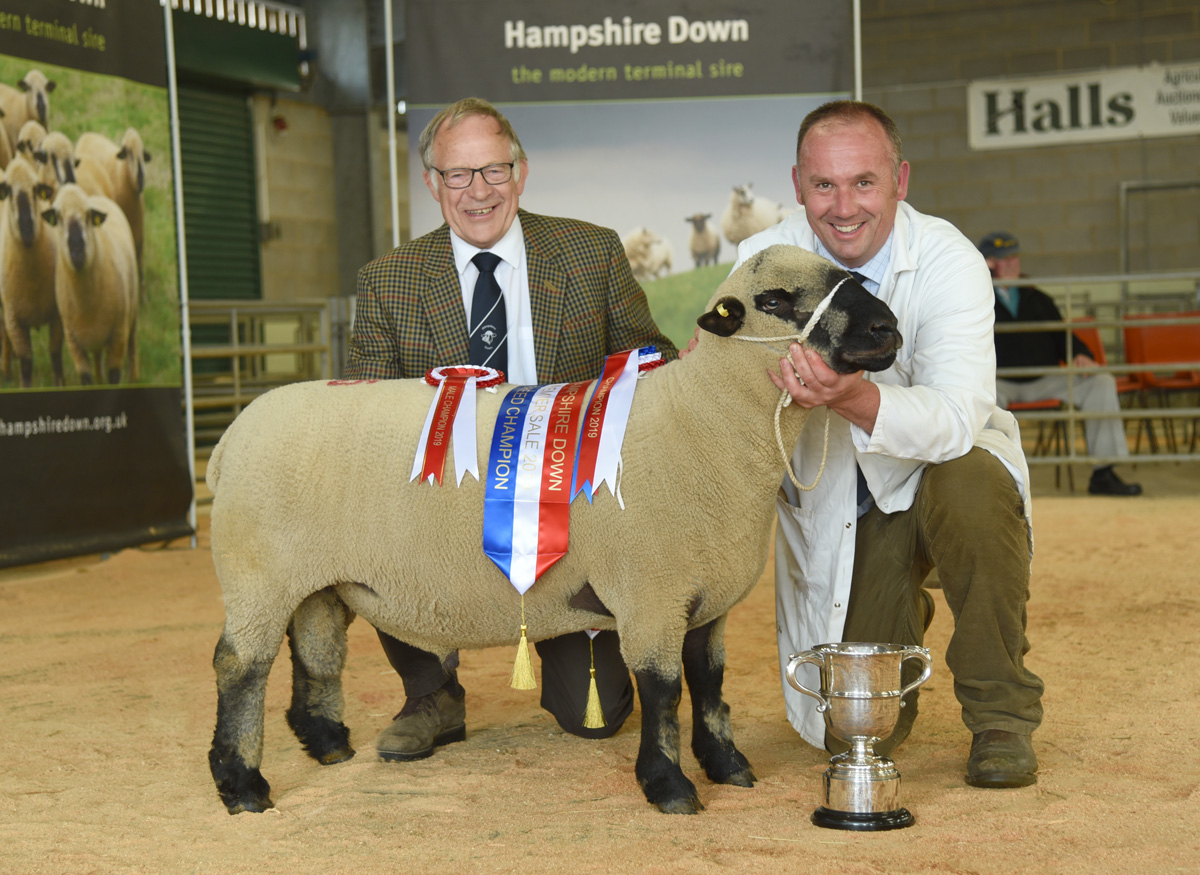 Hamps champion 2_edited-1.jpg