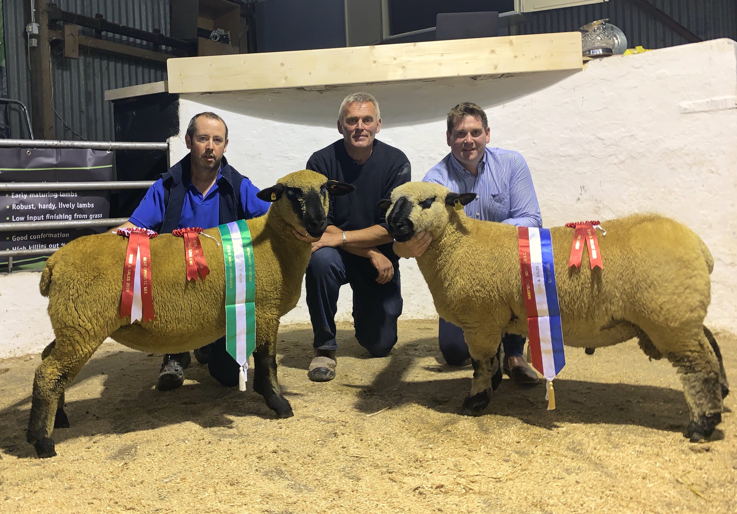 Show Champion (right) Alymer Power’s Powerpack Ram Lam. Reserve Champion (left) Bernard Losty’s Shearling Ewe. Pictured with Judge David Darker