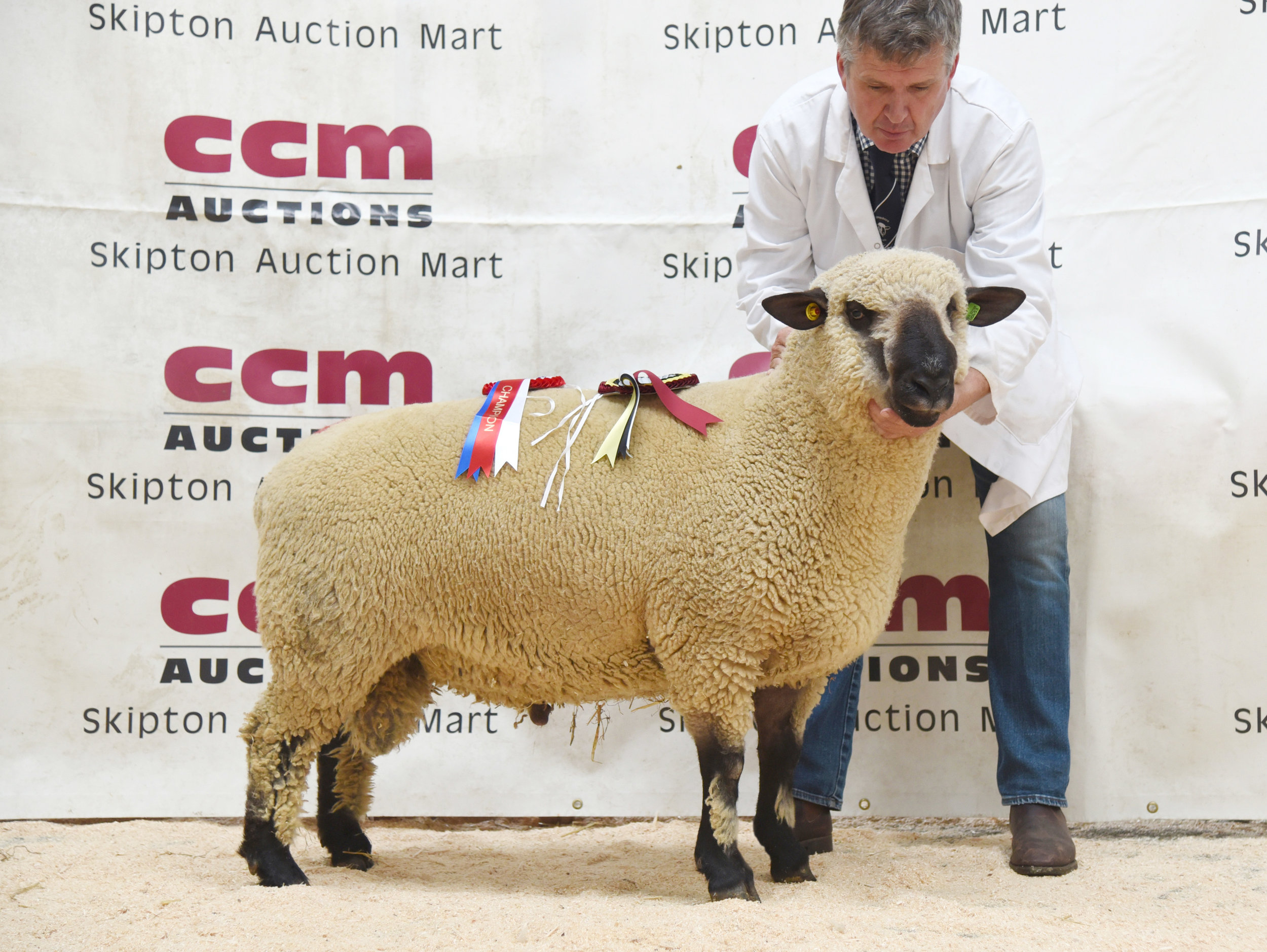 CCM Skipton Hampshire Downs 30.08.19 Jones champ pic.jpg