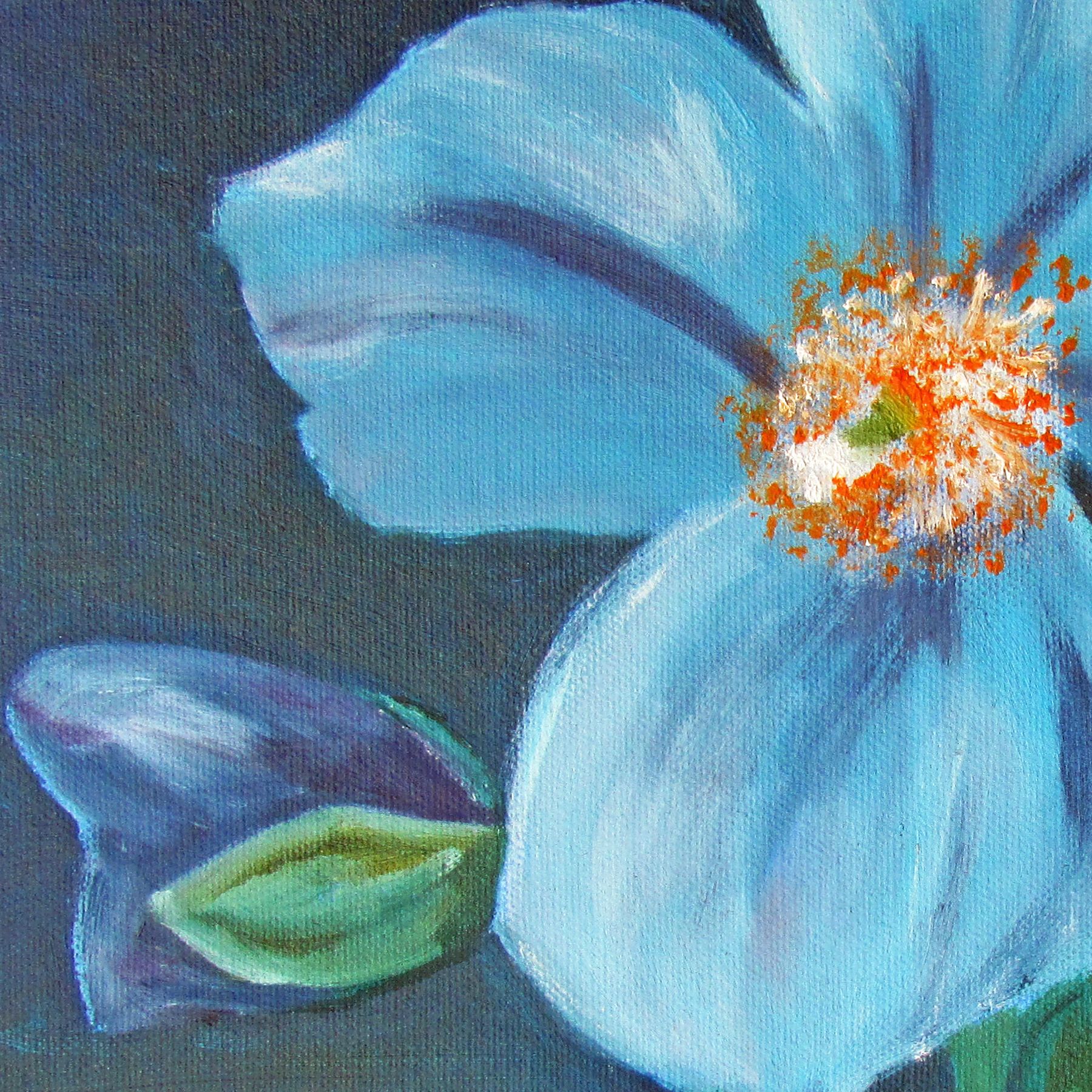 Blue Poppy closeup 6x6 card.jpg