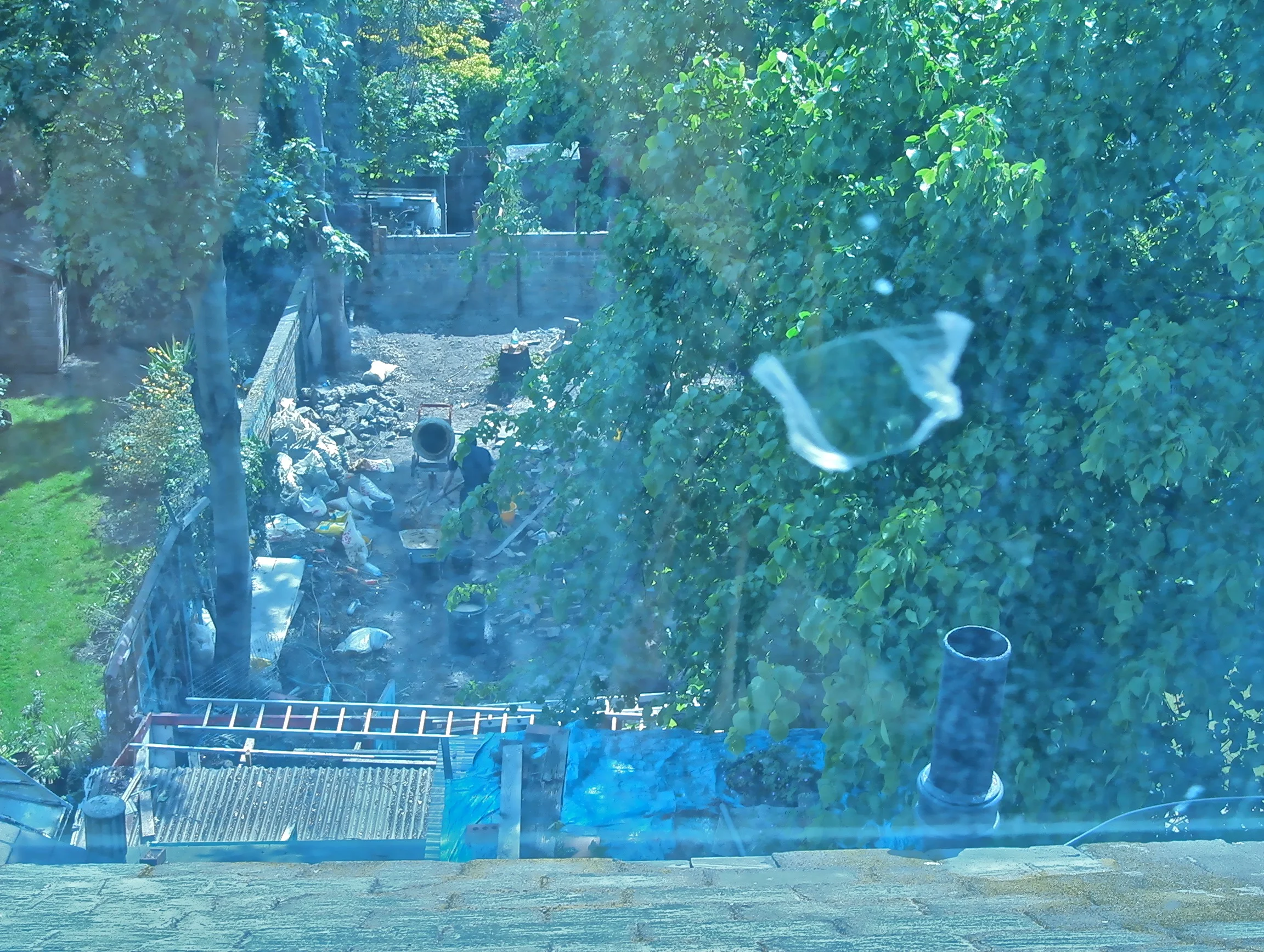 IMG_1543.jpg