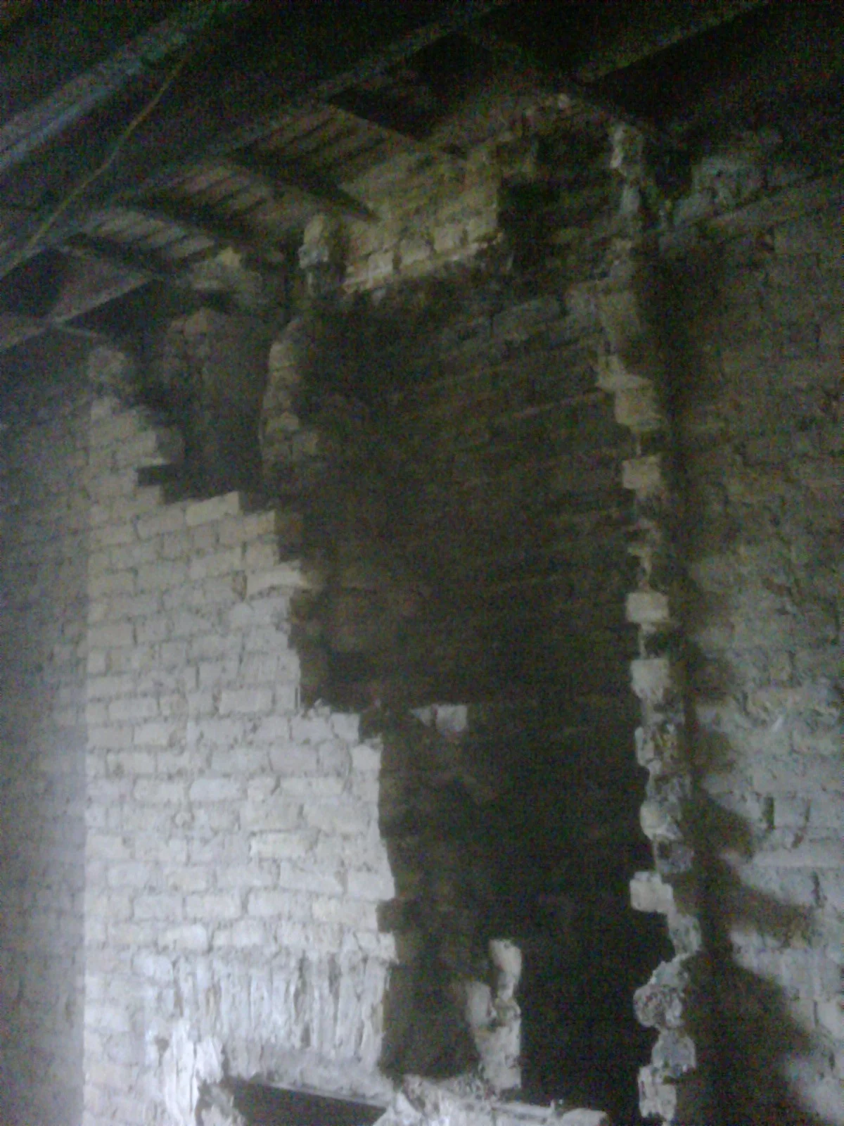 IMG00059-20090716-1755.jpg