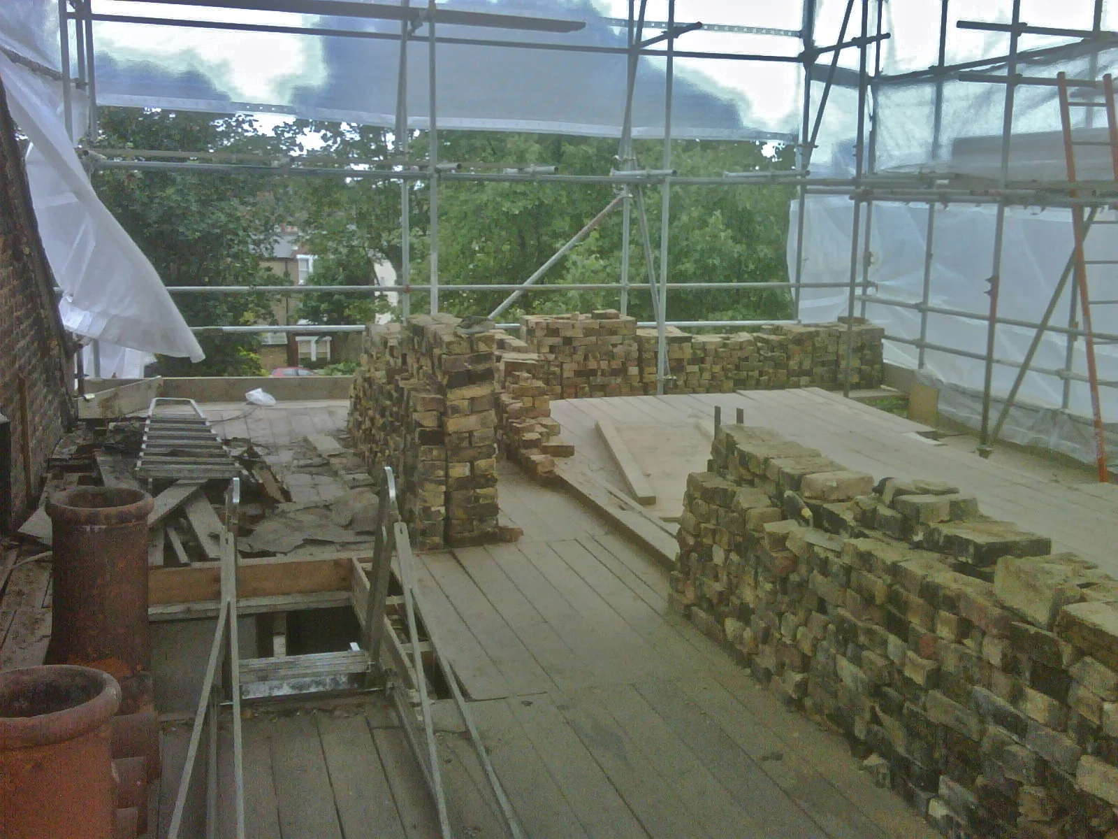 IMG00061-20090716-1802.jpg