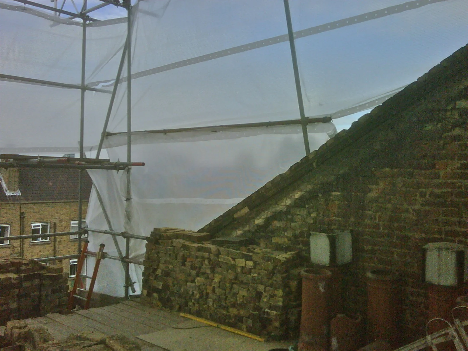 IMG00064-20090716-1802.jpg