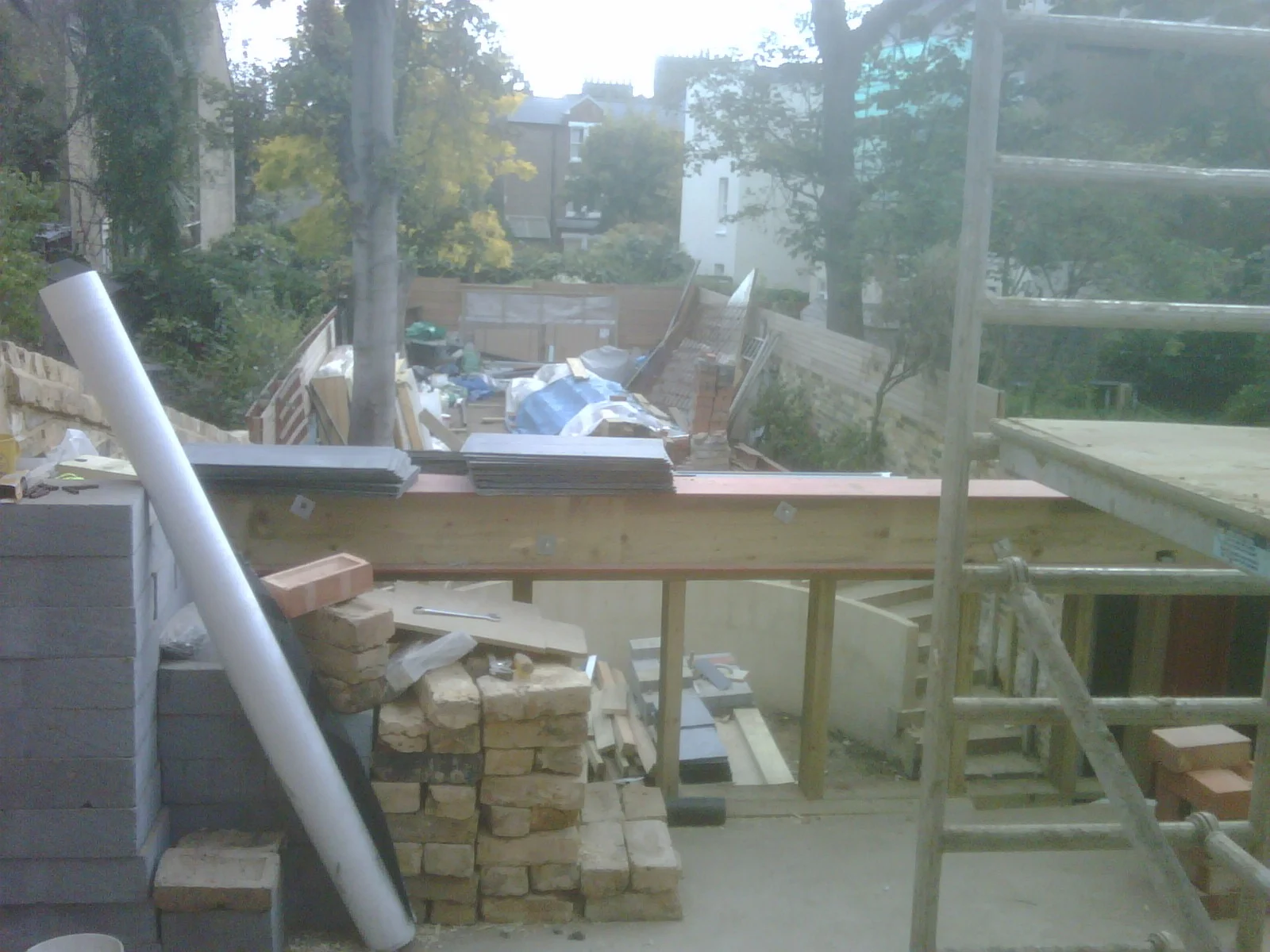IMG00249-20091018-1249.jpg