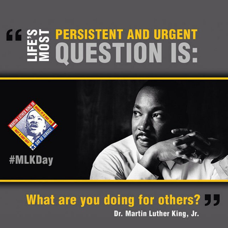 MLK Day of Service Build 