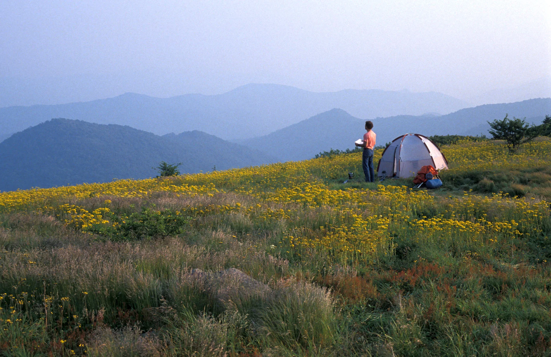 Roan Mountain Camping courtesy of Tennessee Department of Tourist Development