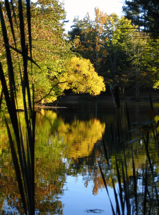 Bowie Nature Park, Fairview, Tennessee