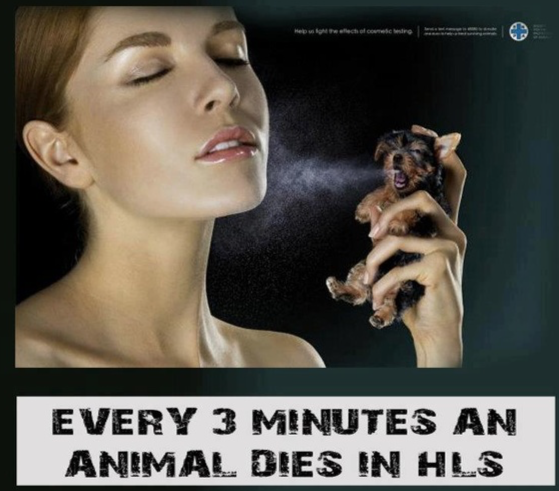 Click on the Link and Learn More https://en.wikipedia.org/wiki/Huntingdon_Life_Sciences