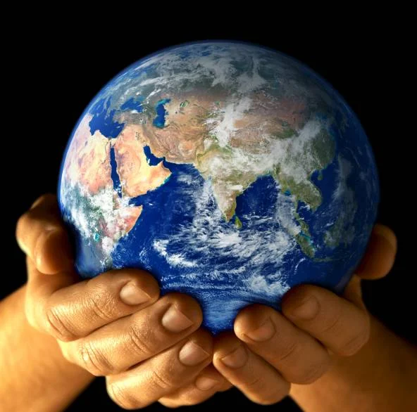 Introduction to Permaculture