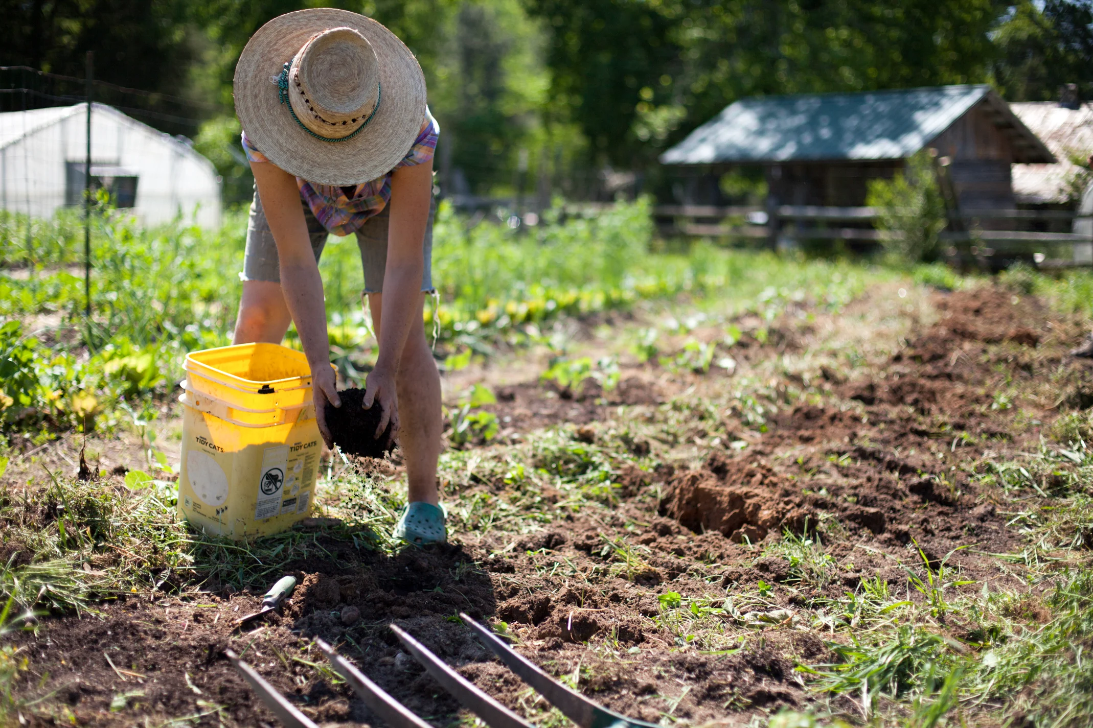 Small-Scale Farming Techniques